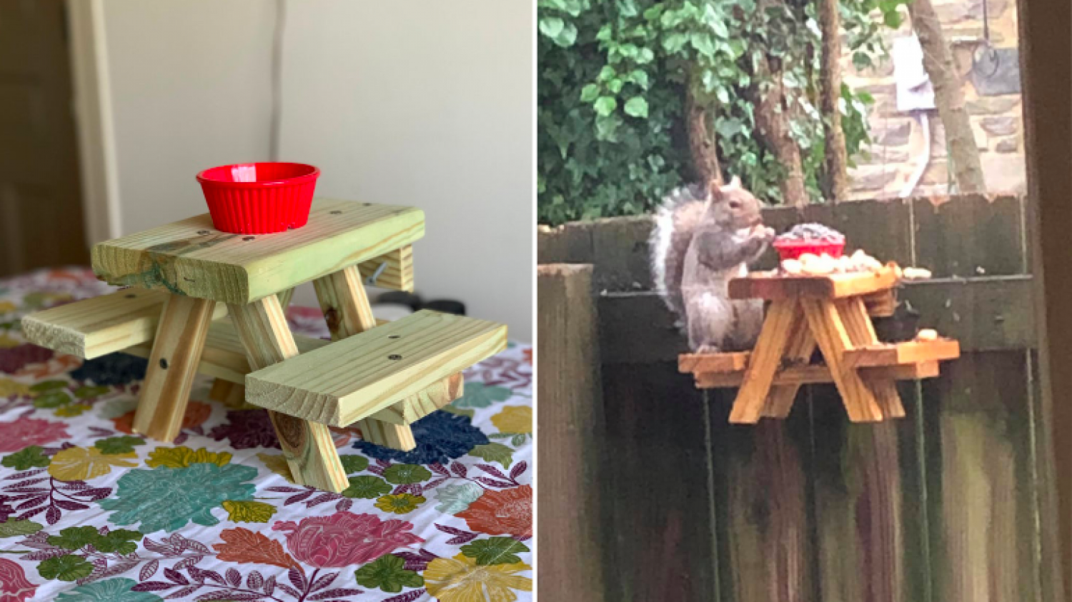 [Vu sur le net] Il construit une table miniature pour que les écureuils puissent pique-niquer
