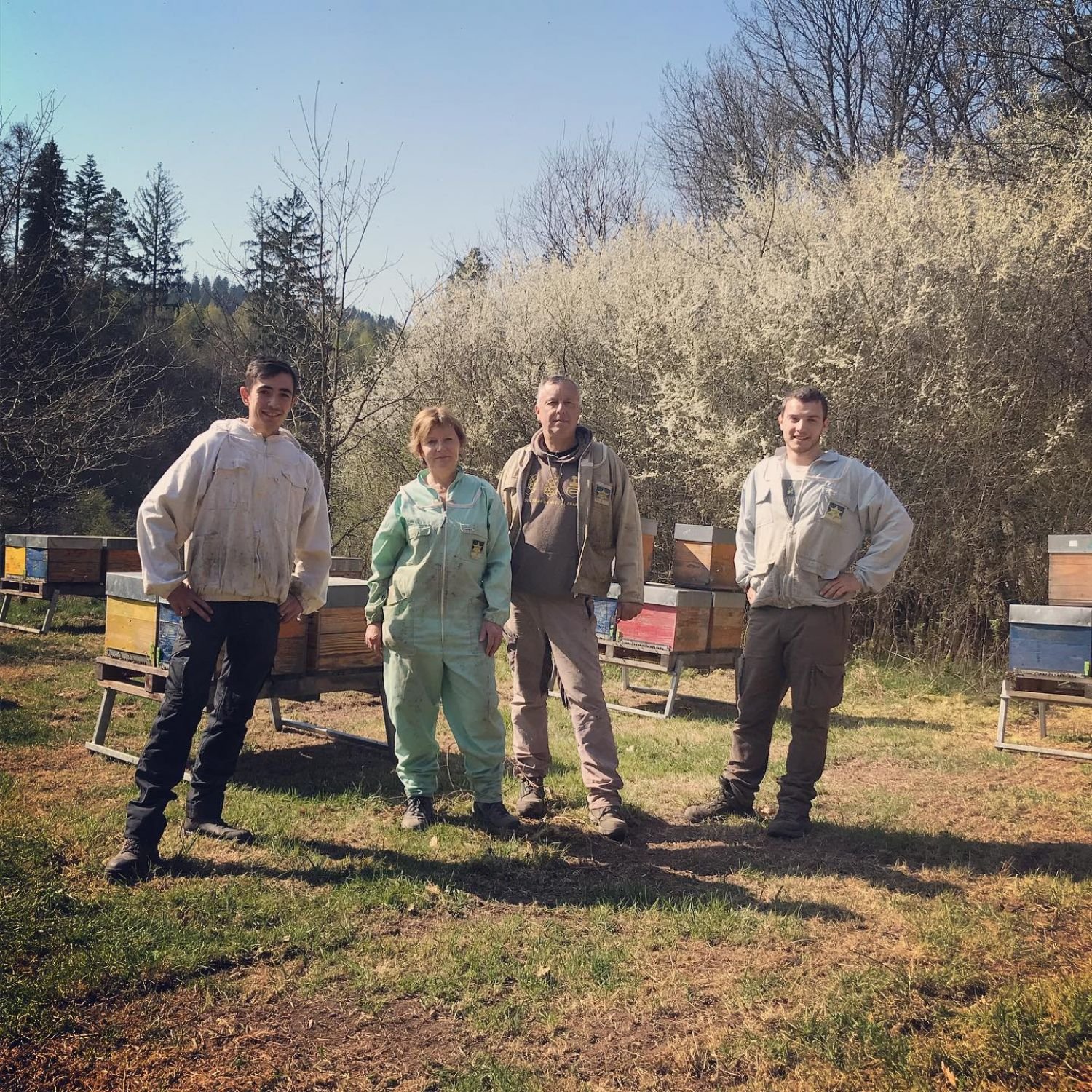 Miel de luzerne, miel de tournesol... la récolte 2020 a été très bonne au rucher des Vosges du Nord