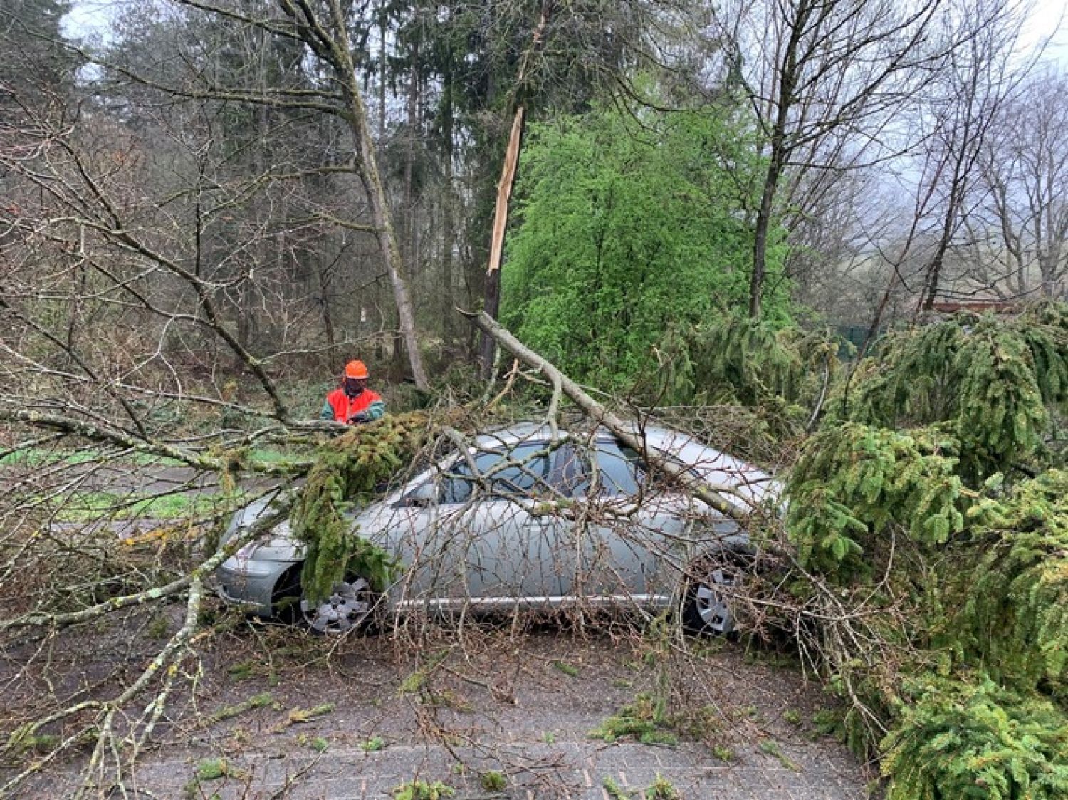 Püttlingen : un arbre tombe sur sa voiture, l’octogénaire miraculeusement indemne