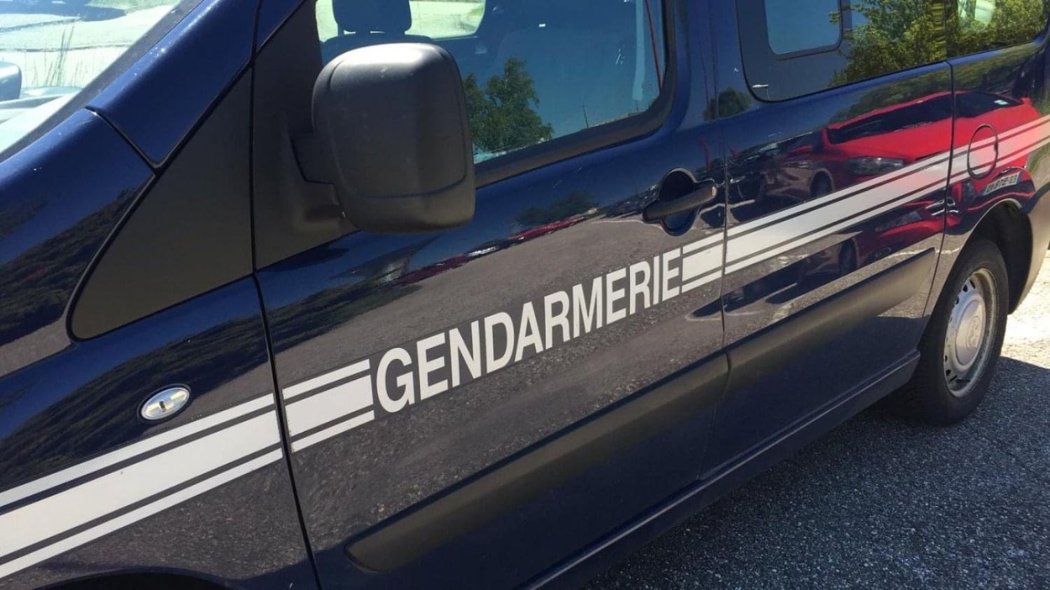 Bitche : deux cambrioleurs pris en flagrant délit par les gendarmes 
