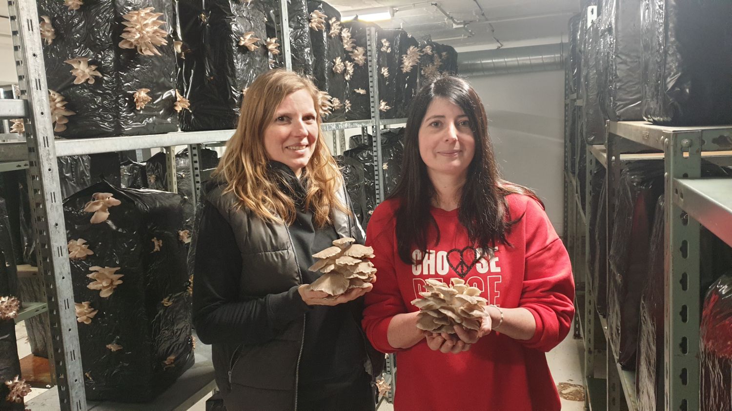 Johanna et Marion ouvrent la première champignonnière d'Alsace-Bossue