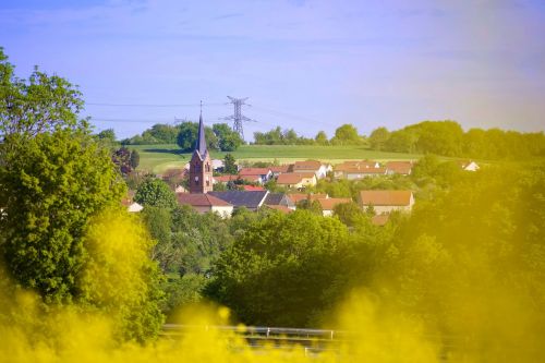 Newsfeed picture